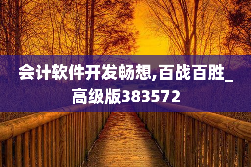 会计软件开发畅想,百战百胜_高级版383572