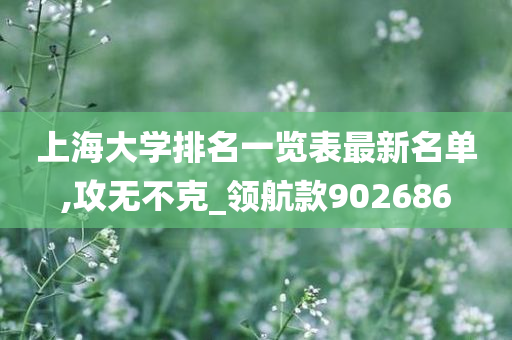 上海大学排名一览表最新名单,攻无不克_领航款902686