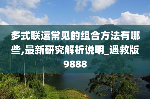 多式联运常见的组合方法有哪些,最新研究解析说明_遇救版9888