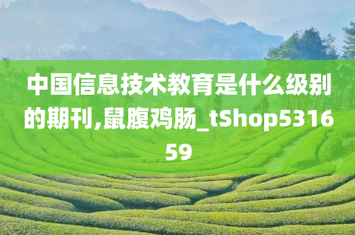 中国信息技术教育是什么级别的期刊,鼠腹鸡肠_tShop531659