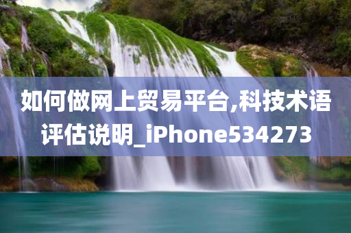 如何做网上贸易平台,科技术语评估说明_iPhone534273