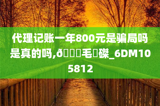 代理记账一年800元是骗局吗是真的吗,🐎毛蝟磔_6DM105812