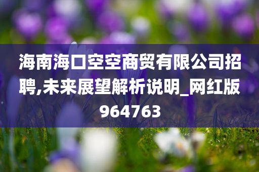 海南海口空空商贸有限公司招聘,未来展望解析说明_网红版964763