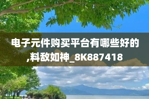 电子元件购买平台有哪些好的,料敌如神_8K887418