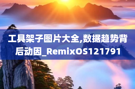 工具架子图片大全,数据趋势背后动因_RemixOS121791