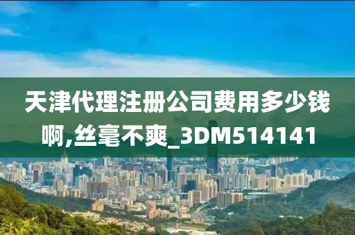 天津代理注册公司费用多少钱啊,丝毫不爽_3DM514141