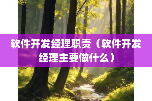 软件开发经理职责（软件开发经理主要做什么）