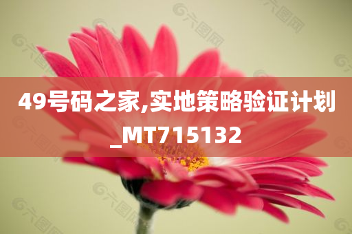 49号码之家,实地策略验证计划_MT715132