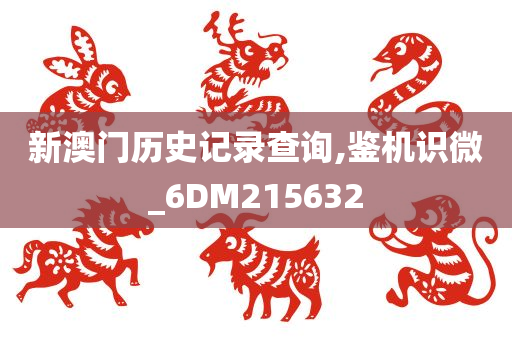 新澳门历史记录查询,鉴机识微_6DM215632