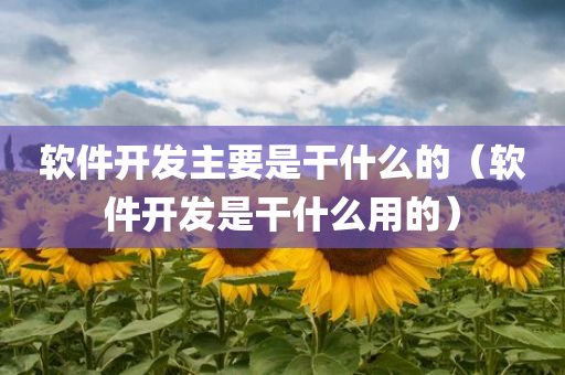 软件开发主要是干什么的（软件开发是干什么用的）