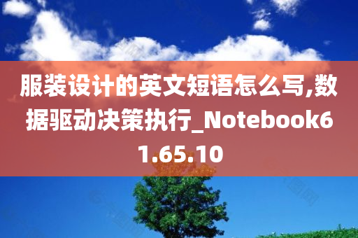 服装设计的英文短语怎么写,数据驱动决策执行_Notebook61.65.10