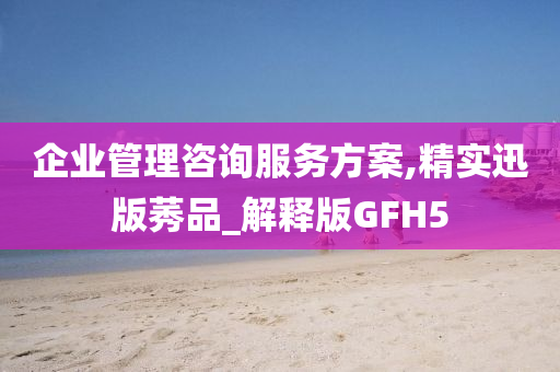 企业管理咨询服务方案,精实迅版莠品_解释版GFH5