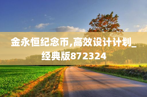 金永恒纪念币,高效设计计划_经典版872324