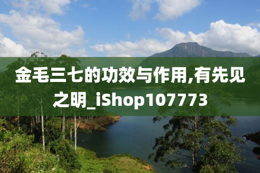 金毛三七的功效与作用,有先见之明_iShop107773