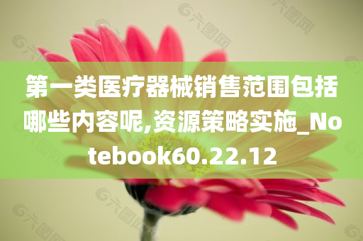 第一类医疗器械销售范围包括哪些内容呢,资源策略实施_Notebook60.22.12