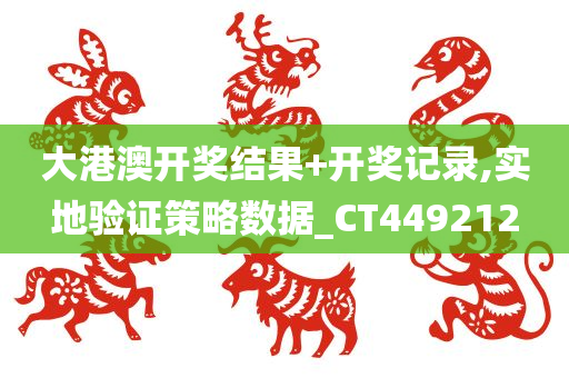 大港澳开奖结果+开奖记录,实地验证策略数据_CT449212