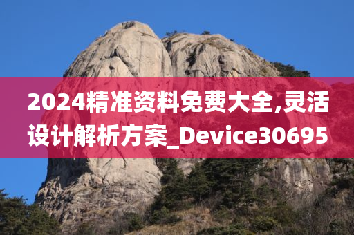 2024精准资料免费大全,灵活设计解析方案_Device306950