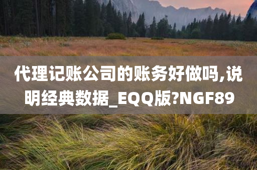 代理记账公司的账务好做吗,说明经典数据_EQQ版?NGF89