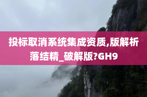 投标取消系统集成资质,版解析落结精_破解版?GH9