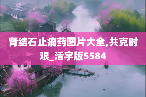 肾结石止痛药图片大全,共克时艰_活字版5584