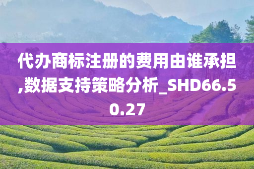 代办商标注册的费用由谁承担,数据支持策略分析_SHD66.50.27