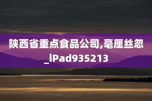 陕西省重点食品公司,毫厘丝忽_iPad935213