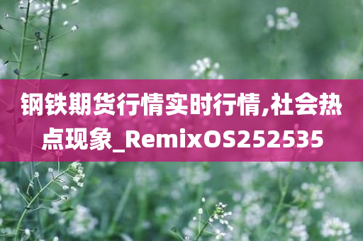 钢铁期货行情实时行情,社会热点现象_RemixOS252535