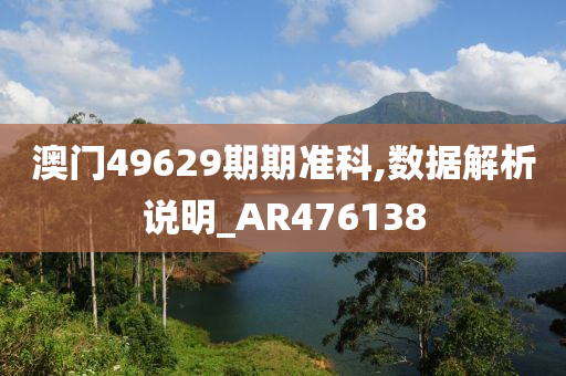 澳门49629期期准科,数据解析说明_AR476138