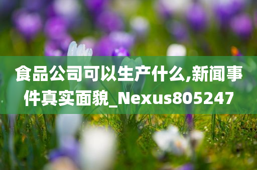 食品公司可以生产什么,新闻事件真实面貌_Nexus805247