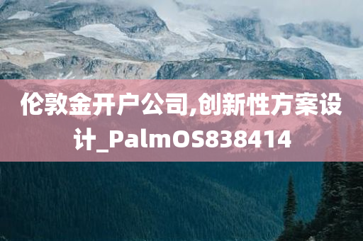 伦敦金开户公司,创新性方案设计_PalmOS838414