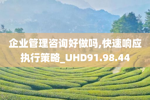 企业管理咨询好做吗,快速响应执行策略_UHD91.98.44