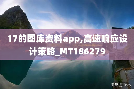 17的图库资料app,高速响应设计策略_MT186279