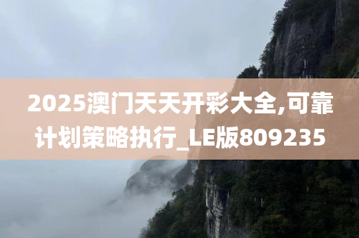 2025澳门天天开彩大全,可靠计划策略执行_LE版809235