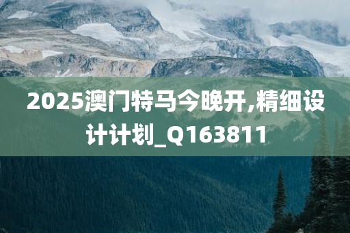 2025澳门特马今晚开,精细设计计划_Q163811