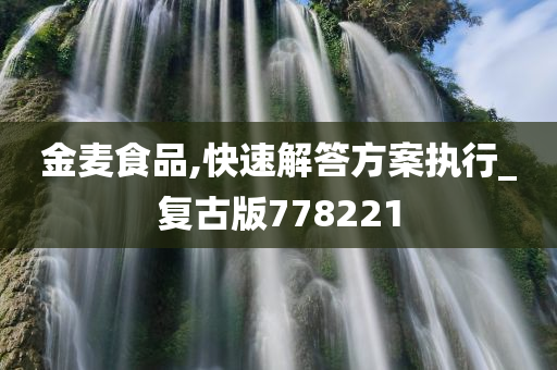 金麦食品,快速解答方案执行_复古版778221