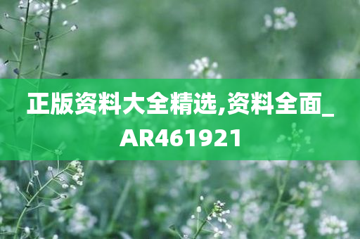 正版资料大全精选,资料全面_AR461921