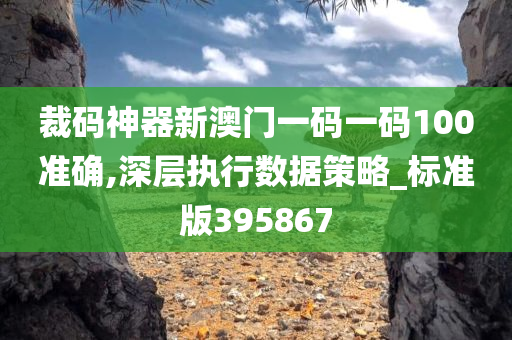 裁码神器新澳门一码一码100准确,深层执行数据策略_标准版395867