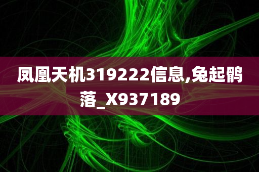 凤凰天机319222信息,兔起鹘落_X937189