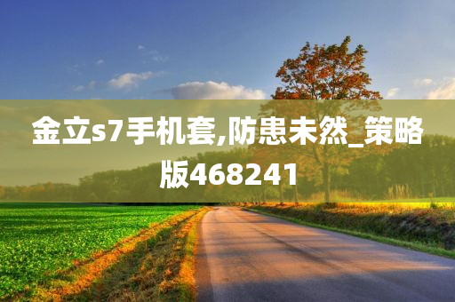 金立s7手机套,防患未然_策略版468241