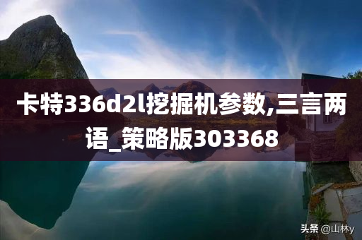 卡特336d2l挖掘机参数,三言两语_策略版303368