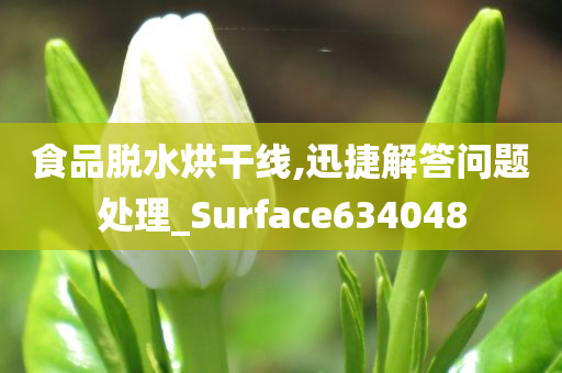 食品脱水烘干线,迅捷解答问题处理_Surface634048