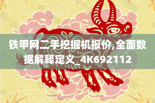 铁甲网二手挖掘机报价,全面数据解释定义_4K692112