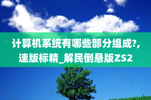 计算机系统有哪些部分组成?,速版标精_解民倒悬版ZS2