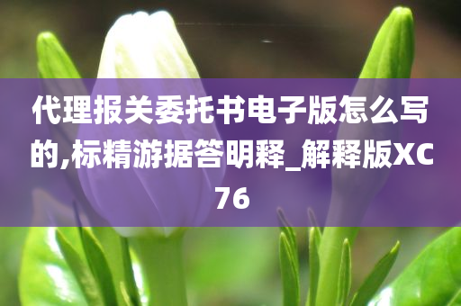 代理报关委托书电子版怎么写的,标精游据答明释_解释版XC76