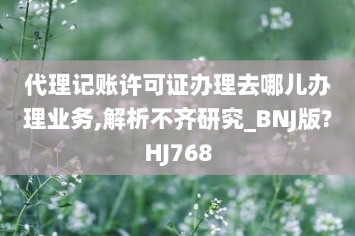 代理记账许可证办理去哪儿办理业务,解析不齐研究_BNJ版?HJ768