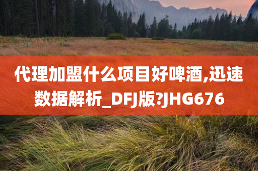 代理加盟什么项目好啤酒,迅速数据解析_DFJ版?JHG676