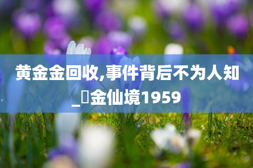 黄金金回收,事件背后不为人知_‌金仙境1959