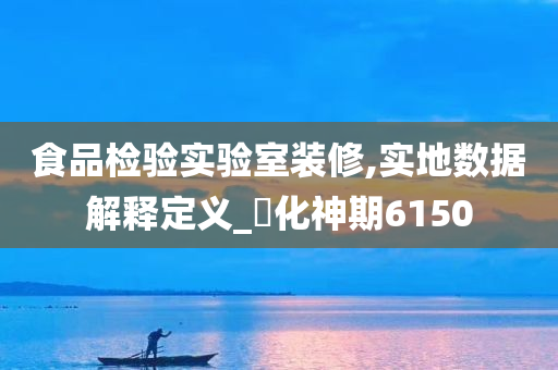 食品检验实验室装修,实地数据解释定义_‌化神期6150