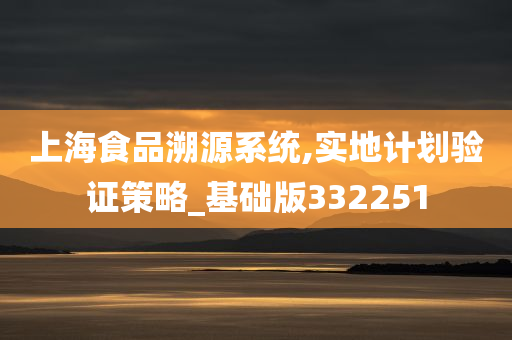 上海食品溯源系统,实地计划验证策略_基础版332251