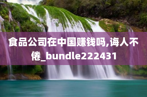 食品公司在中国赚钱吗,诲人不倦_bundle222431